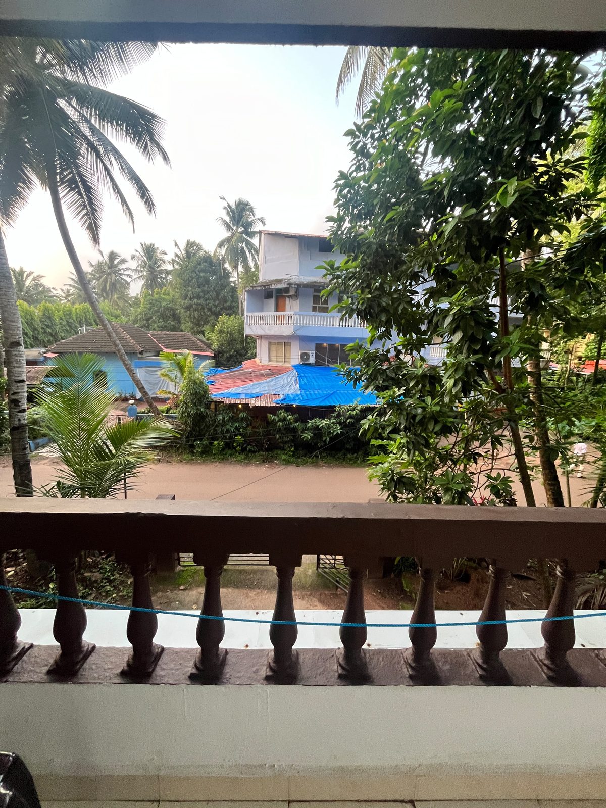 Palm trees and village rooftops from the balcony